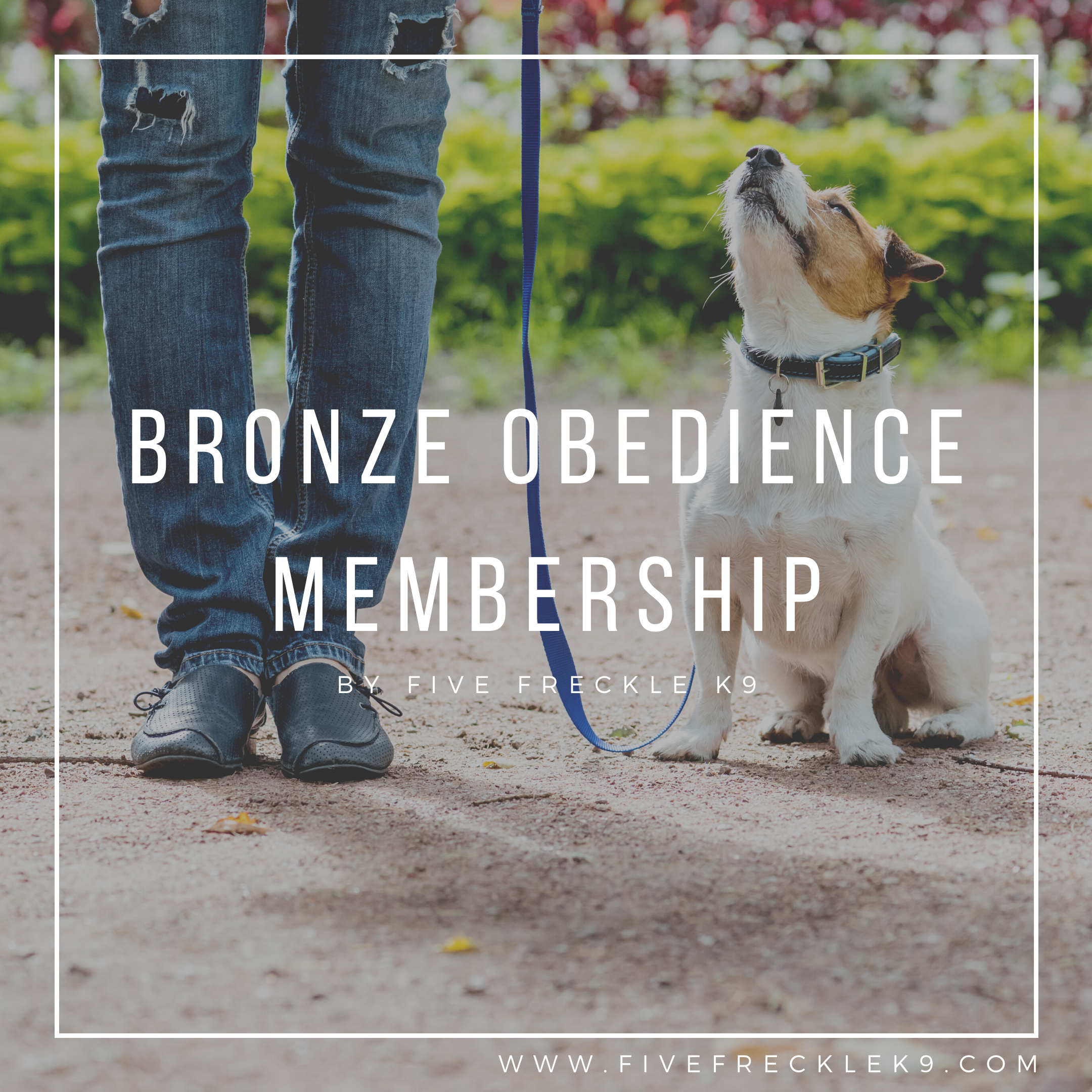 Purchase Bronze Obedience