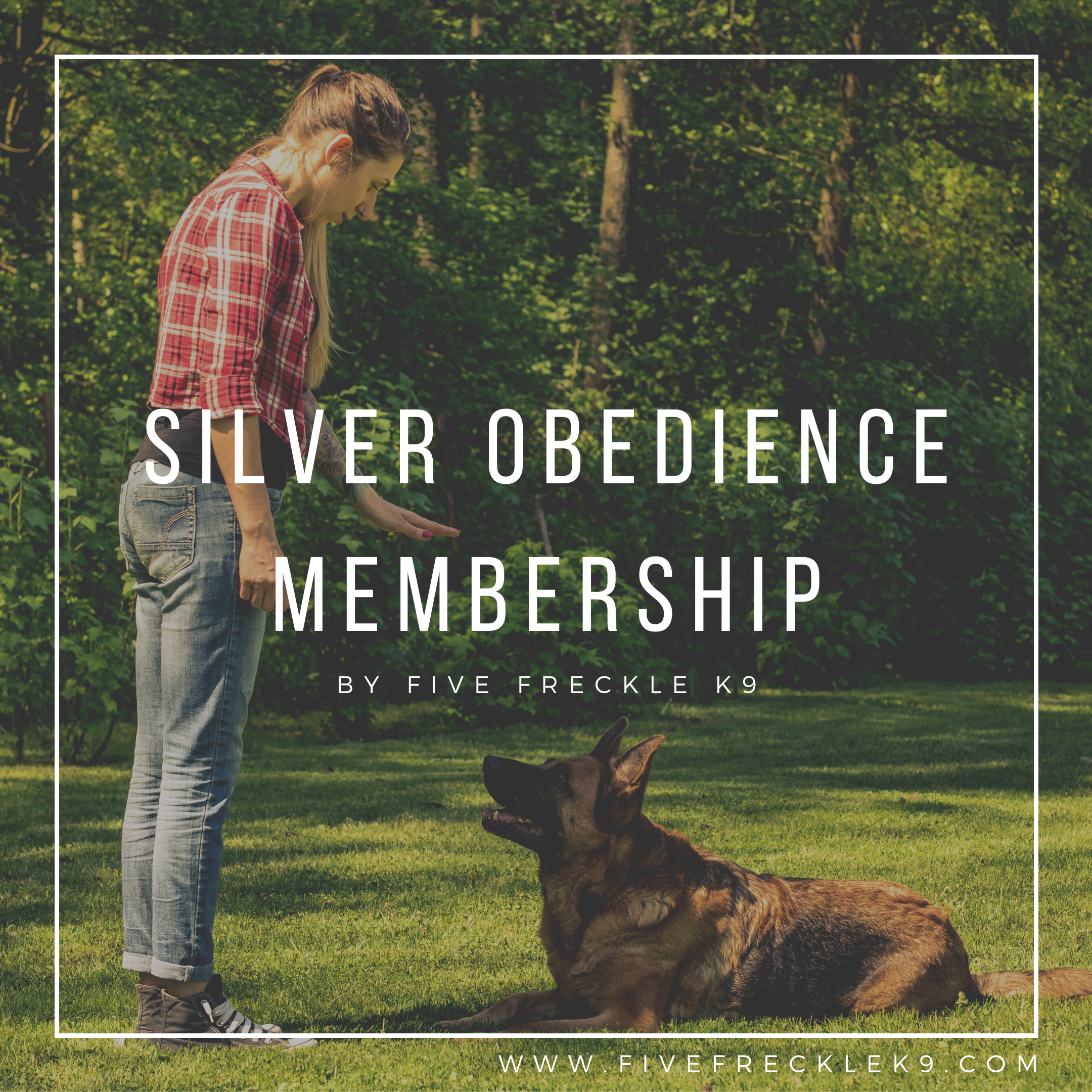 Purchase Silver Obedience