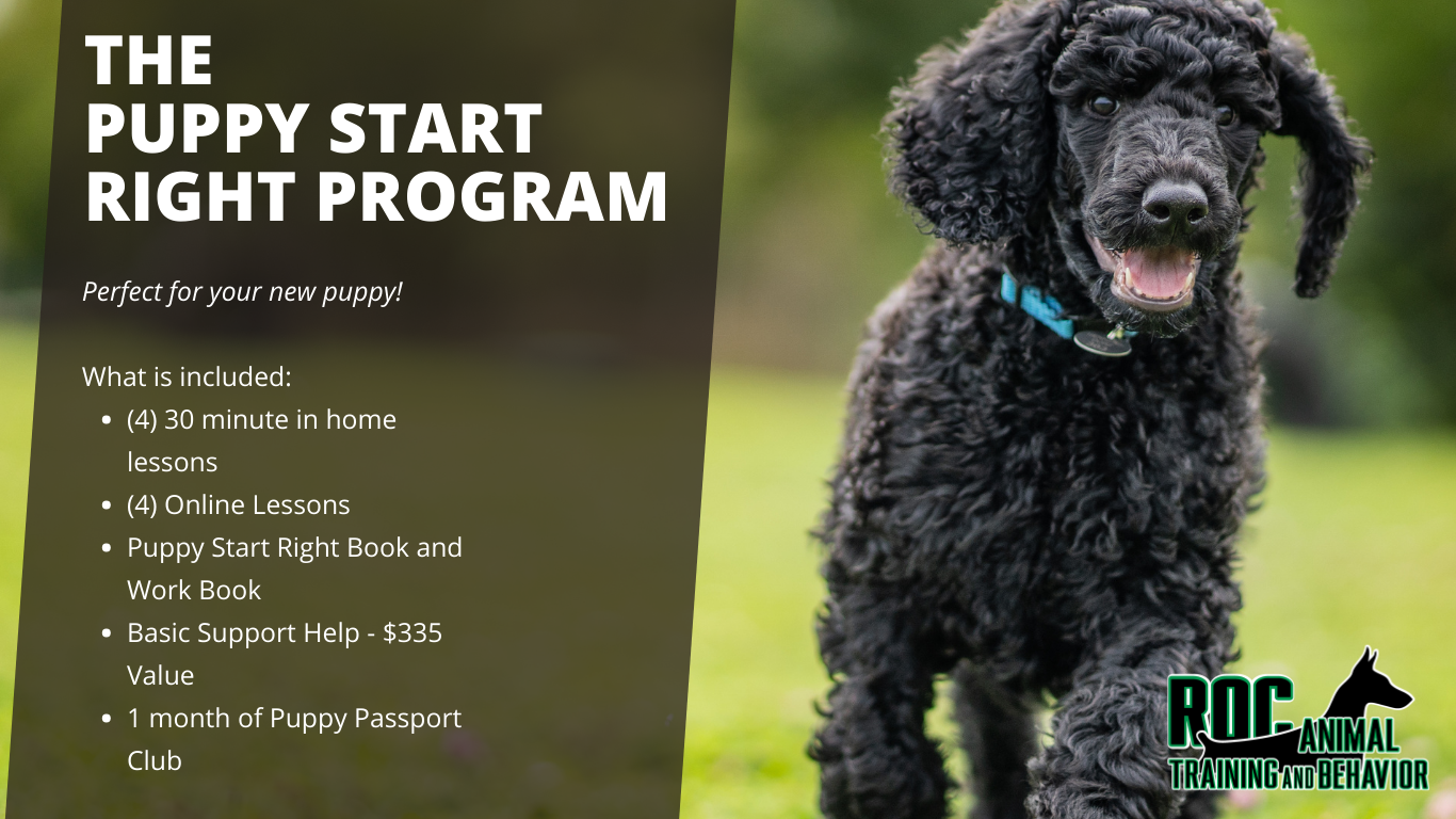 Purchase Puppy Start Right Program